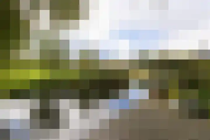 Dijkweg 307 Andijk thumbnail 9