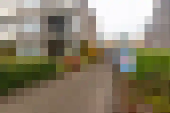 Dijkweg 31 ap03 Naaldwijk thumbnail 23