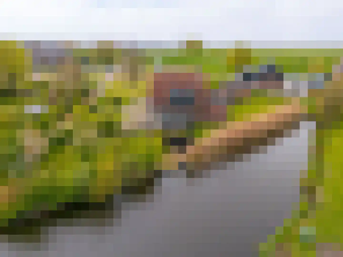 Dijkweg 316 Andijk thumbnail 39