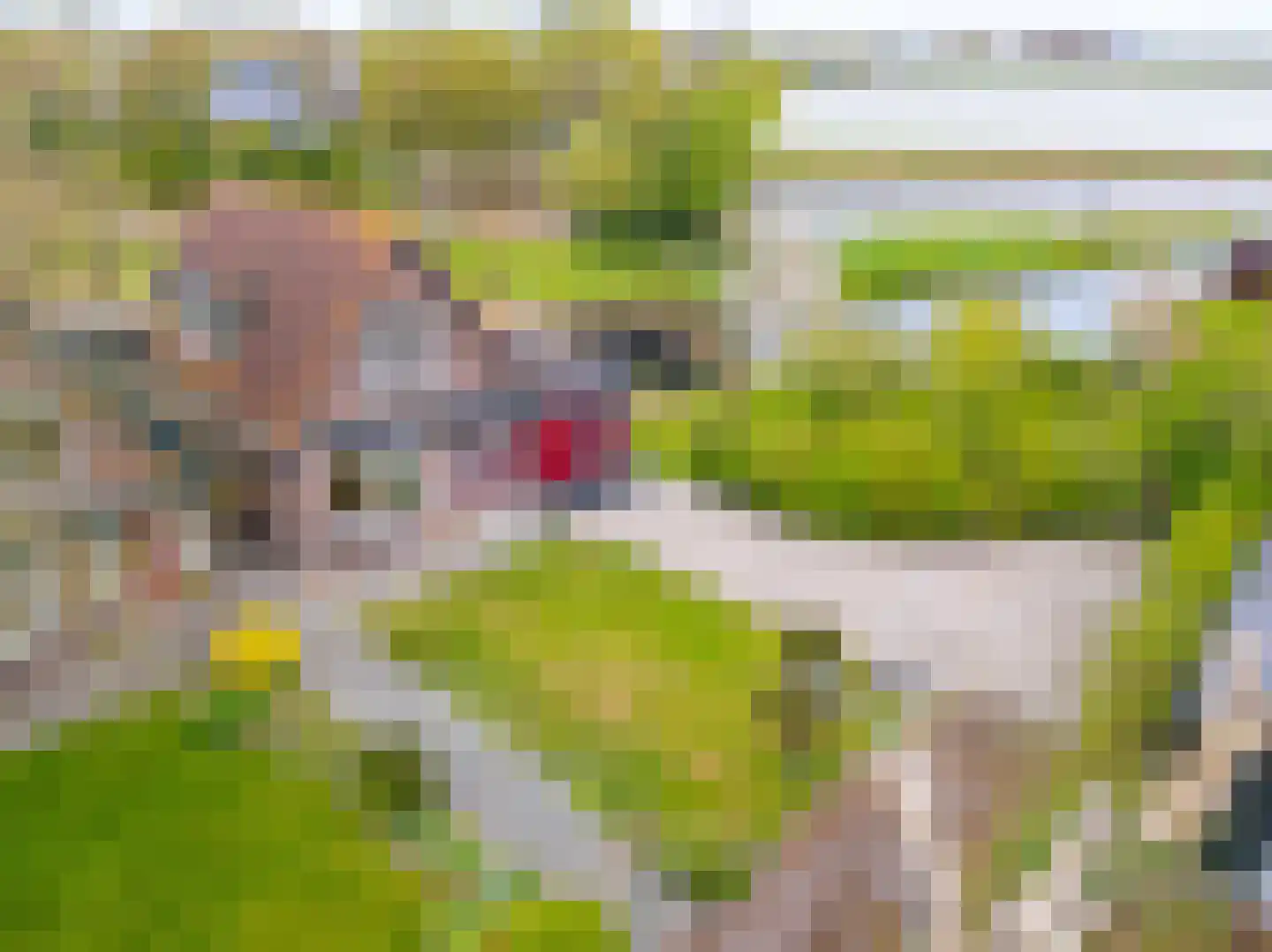 Dijkweg 316 Andijk thumbnail 5
