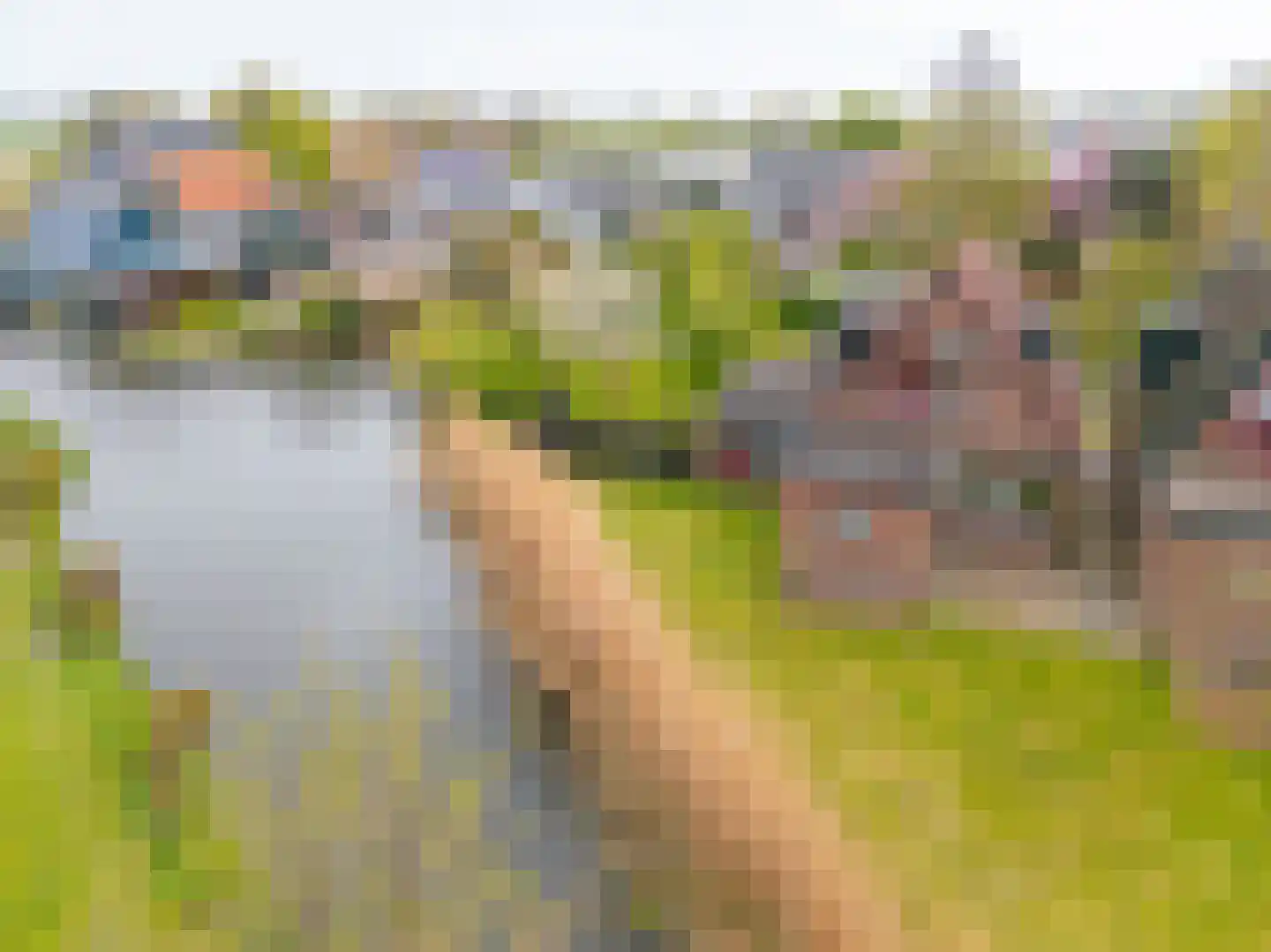 Dijkweg 316 Andijk thumbnail 51