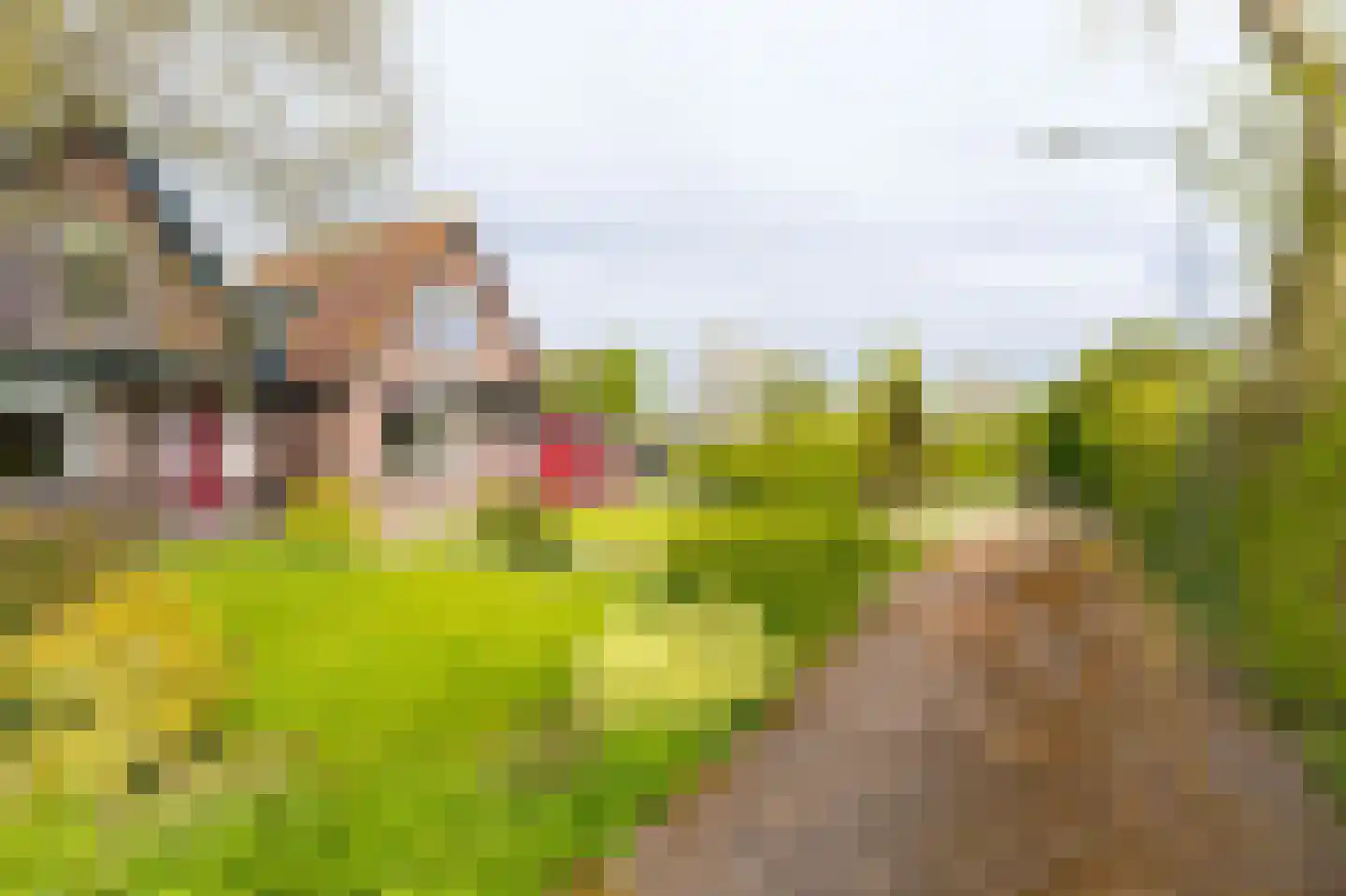 Dijkweg 316 Andijk thumbnail 6