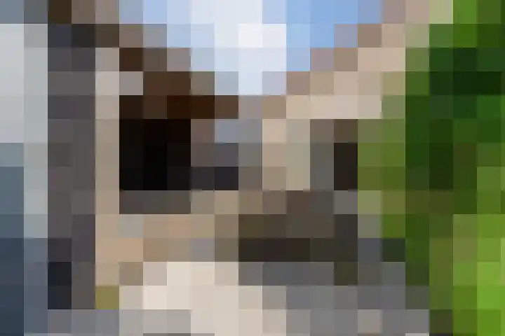 Dijkweg 35 Stavenisse thumbnail 34