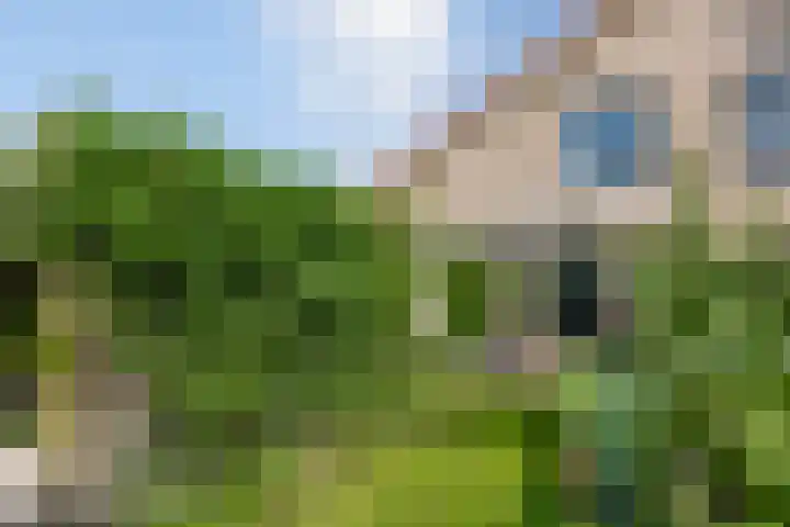 Dijkweg 35 Stavenisse thumbnail 36