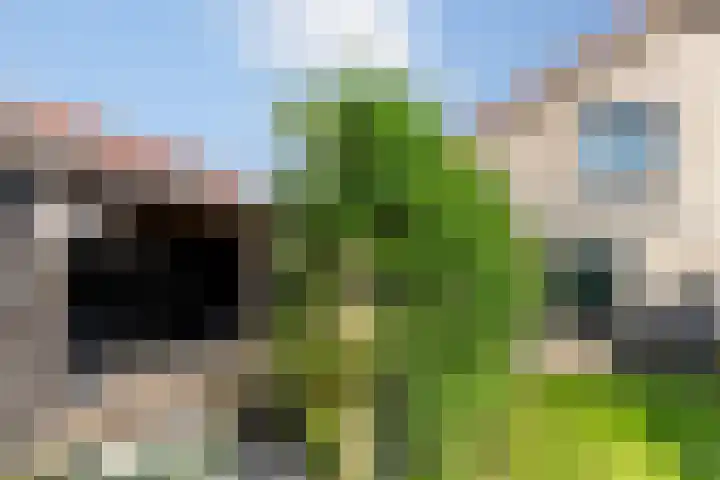 Dijkweg 35 Stavenisse thumbnail 37