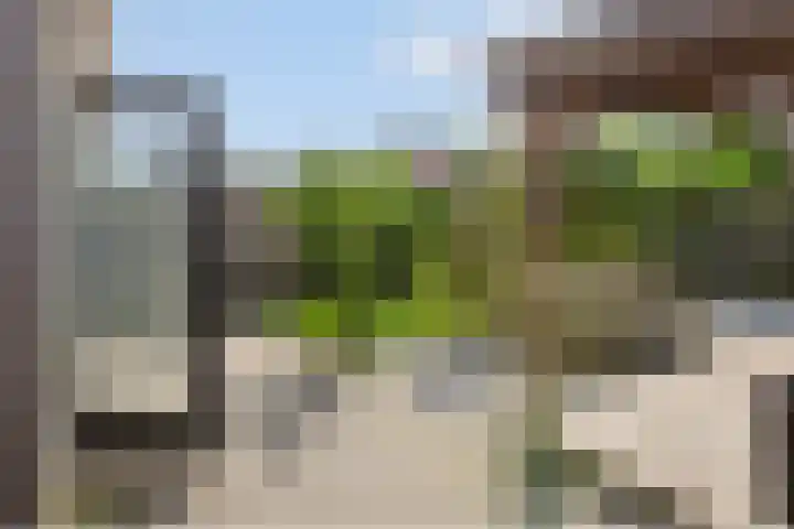 Dijkweg 35 Stavenisse thumbnail 38