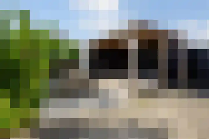 Dijkweg 35 Stavenisse thumbnail 39