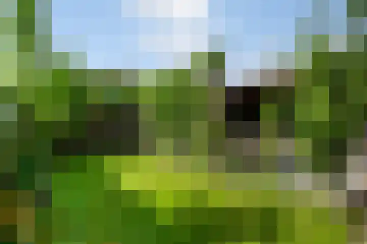Dijkweg 35 Stavenisse thumbnail 42