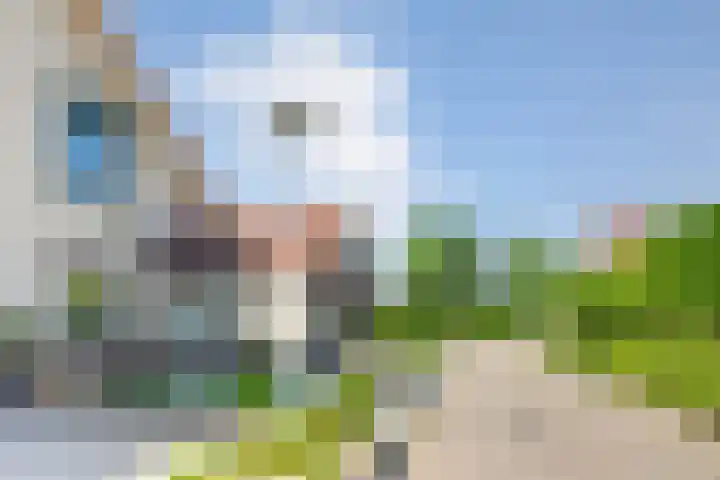 Dijkweg 35 Stavenisse thumbnail 47