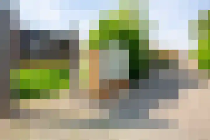 Dijkweg 35 Stavenisse thumbnail 50