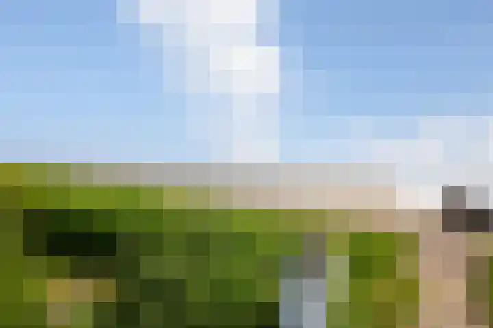 Dijkweg 35 Stavenisse thumbnail 52