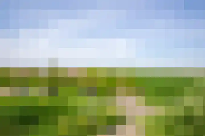 Dijkweg 35 Stavenisse thumbnail 53