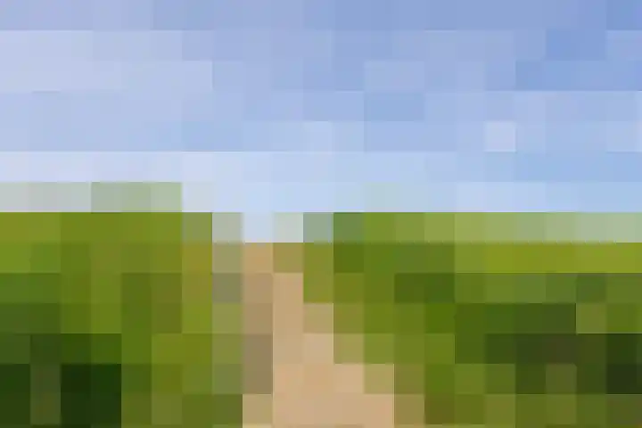 Dijkweg 35 Stavenisse thumbnail 56