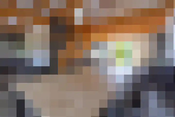Dijkweg 35 Stavenisse thumbnail 8