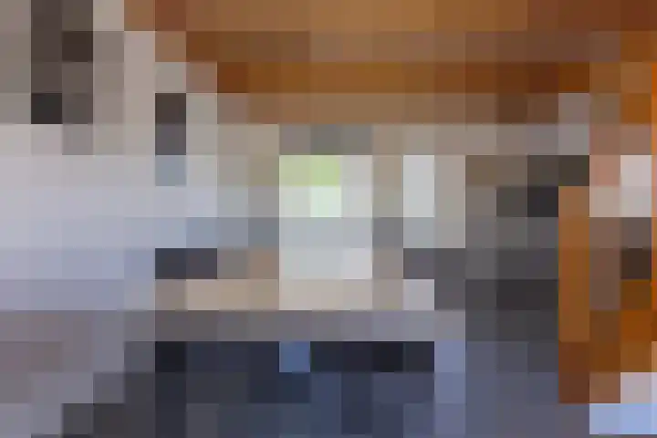 Dijkweg 35 Stavenisse thumbnail 9