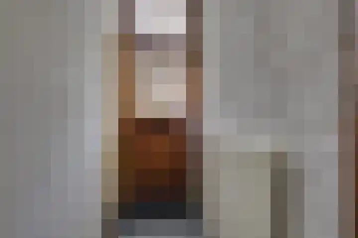 Dijkweg 36 Naaldwijk thumbnail 17