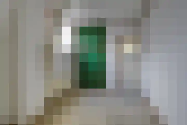 Dijkweg 36 Naaldwijk thumbnail 31