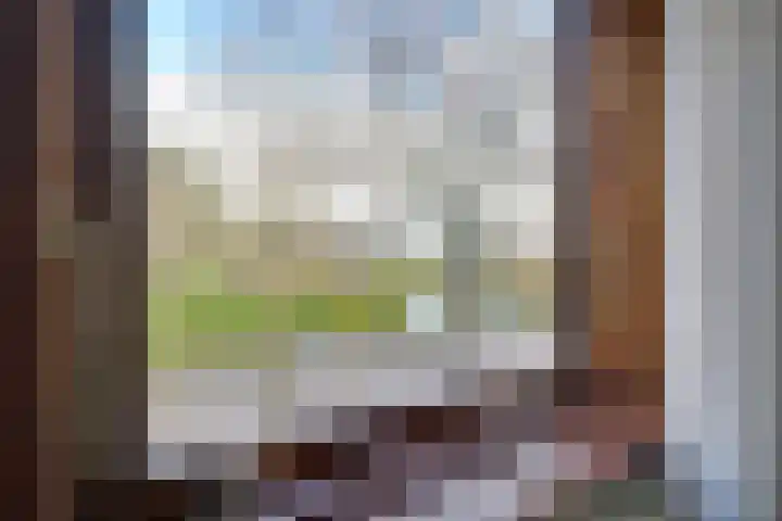 Dijkweg 36 Naaldwijk thumbnail 32