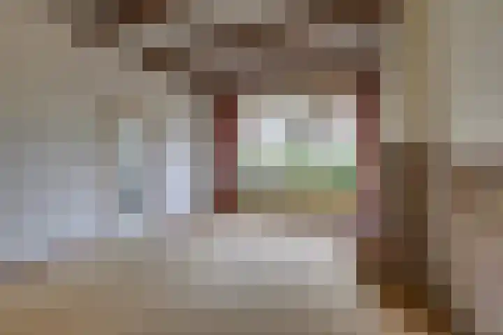 Dijkweg 36 Naaldwijk thumbnail 4