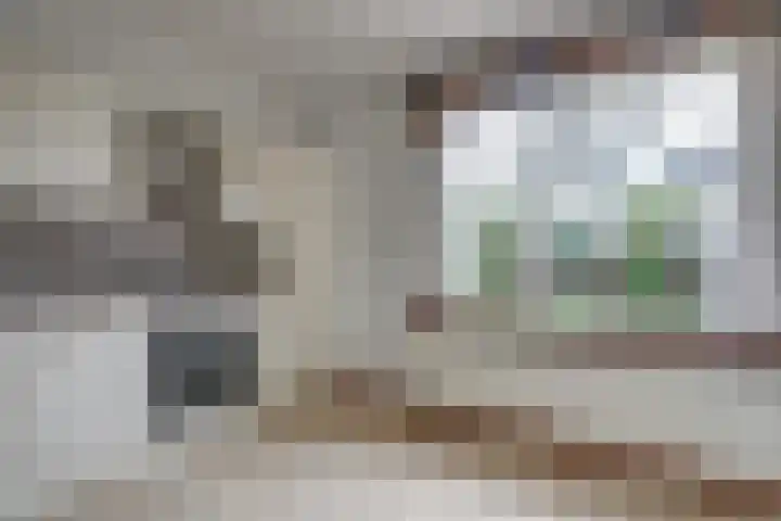 Dijkweg 36 Naaldwijk thumbnail 9