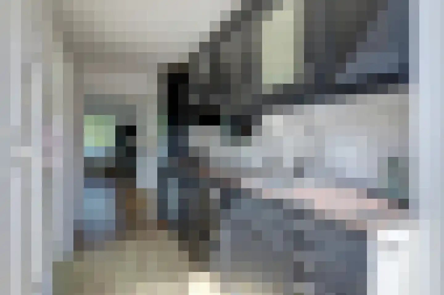 Dijkweg 370 Andijk thumbnail 10