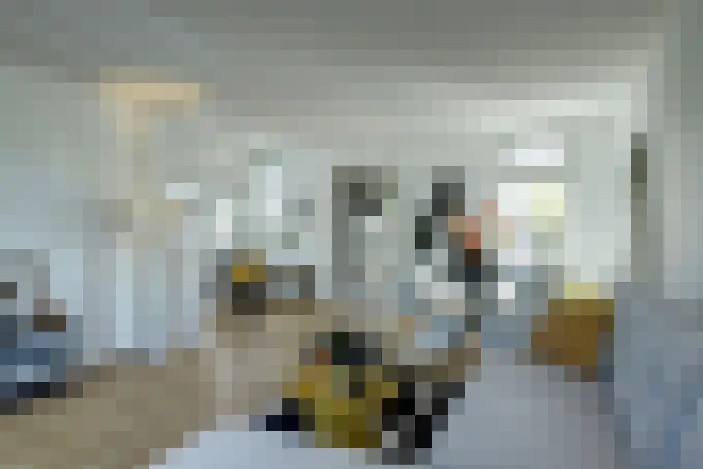 Dijkweg 370 Andijk thumbnail 6
