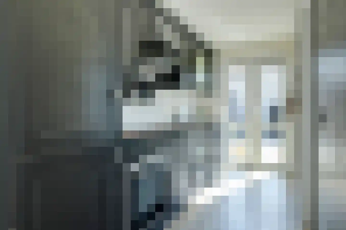 Dijkweg 370 Andijk thumbnail 9