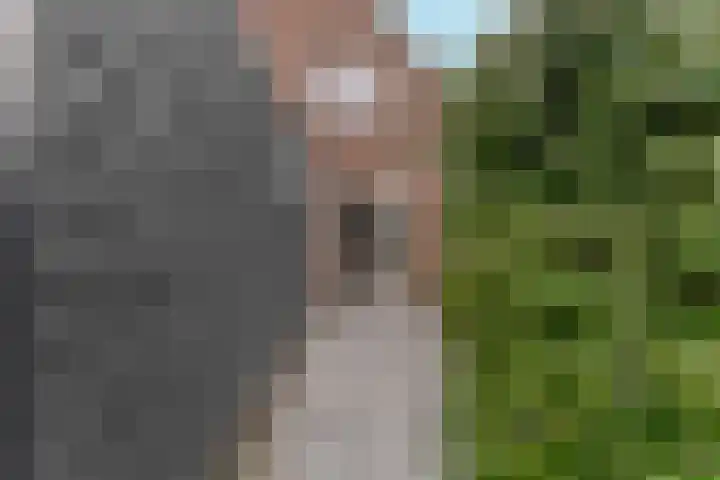 Dijkweg 395 Andijk thumbnail 63