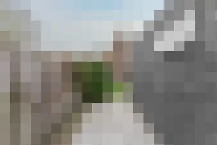 Dijkweg 395 Andijk thumbnail 64