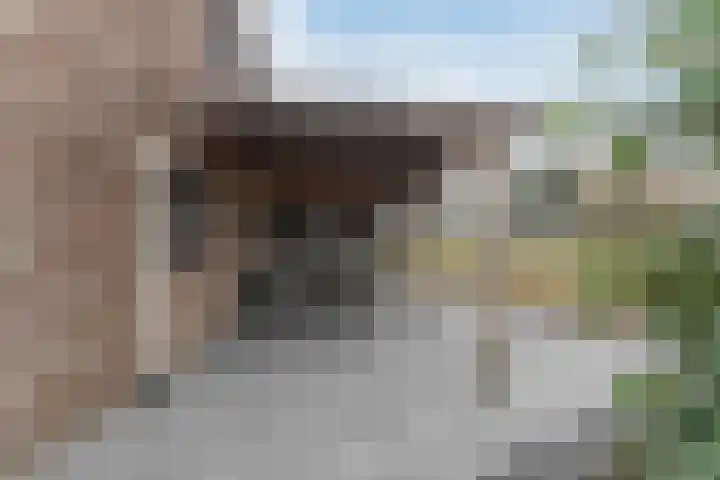 Dijkweg 395 Andijk thumbnail 65