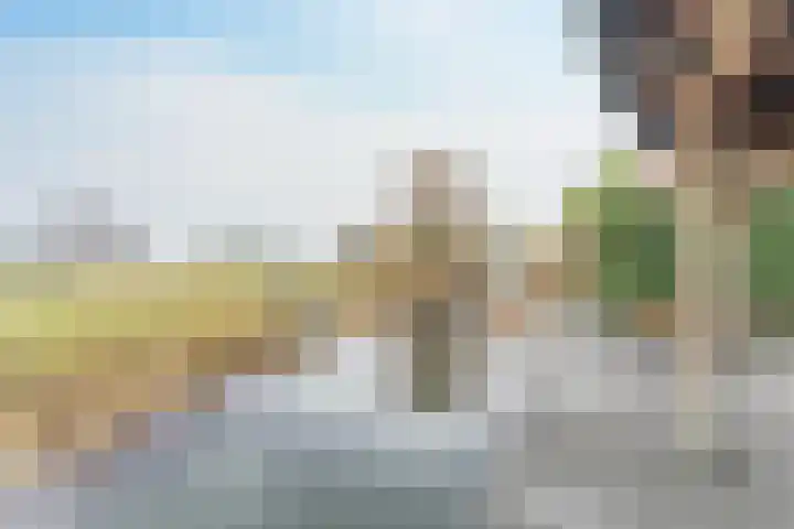 Dijkweg 395 Andijk thumbnail 66