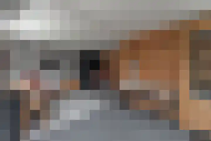 Dijkweg 395 Andijk thumbnail 71