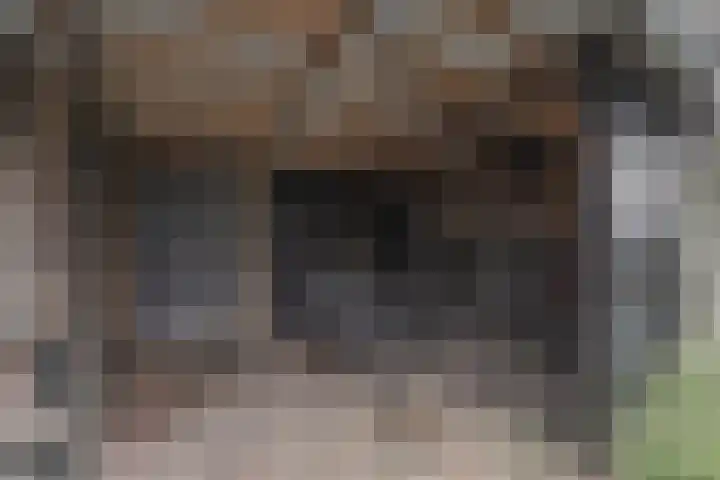 Dijkweg 395 Andijk thumbnail 77