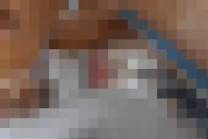 Dijkweg 395 Andijk thumbnail 9