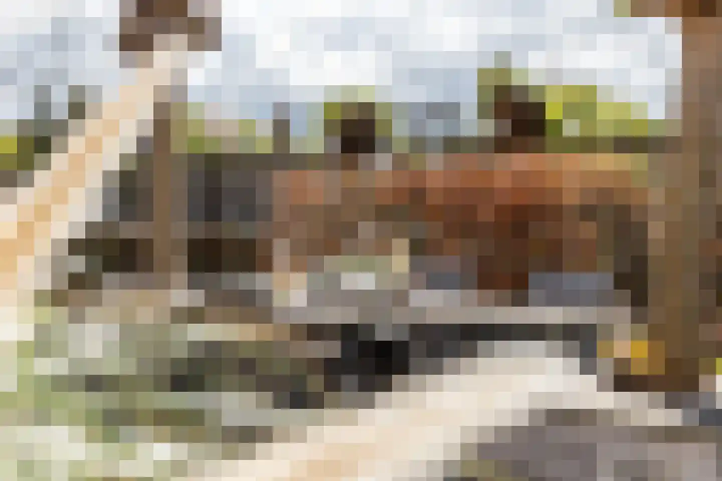Dijkweg 4 Hellevoetsluis thumbnail 36
