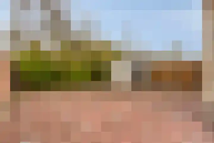Dijkweg 47 Stavenisse thumbnail 41