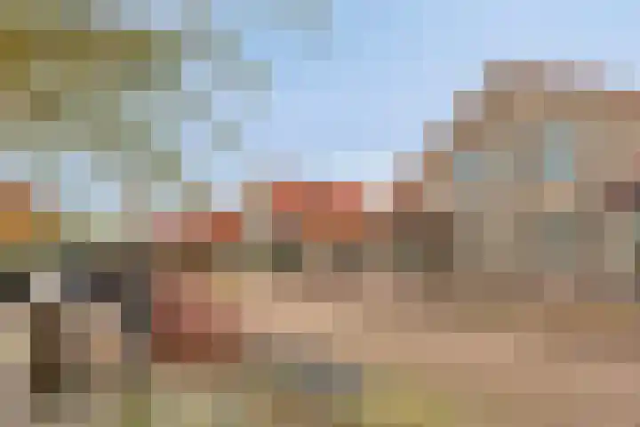 Dijkweg 47 Stavenisse thumbnail 5