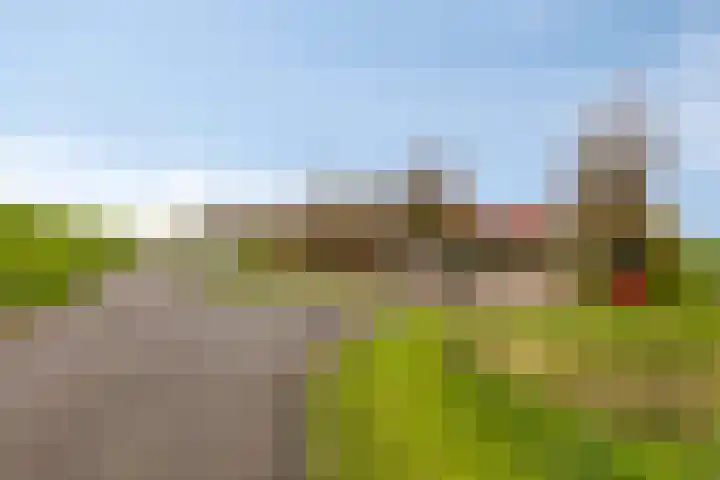 Dijkweg 47 Stavenisse thumbnail 51