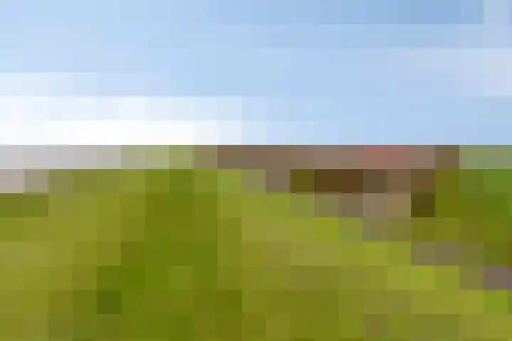 Dijkweg 47 Stavenisse thumbnail 52