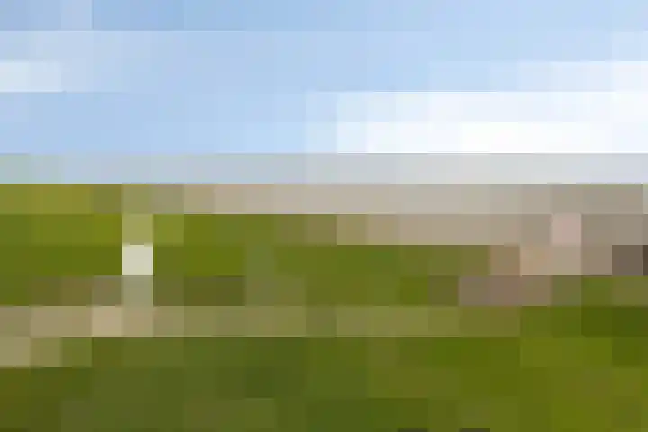 Dijkweg 47 Stavenisse thumbnail 53