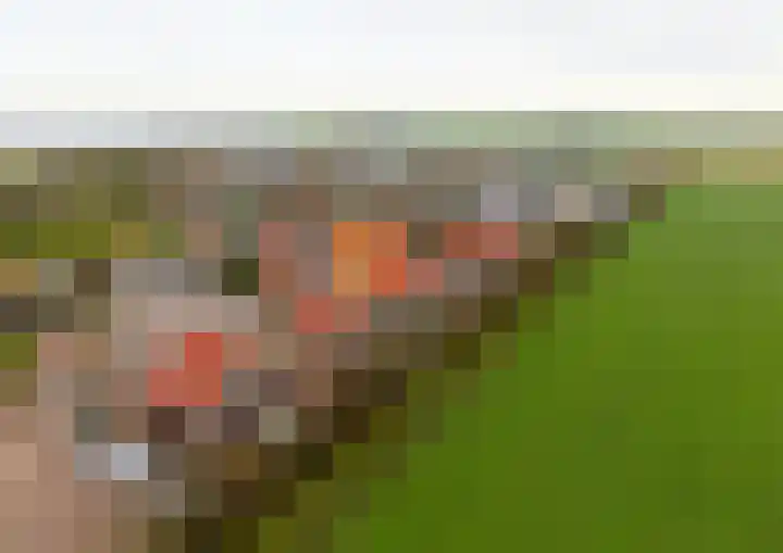 Dijkweg 47 Stavenisse thumbnail 62