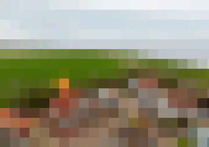 Dijkweg 47 Stavenisse thumbnail 64
