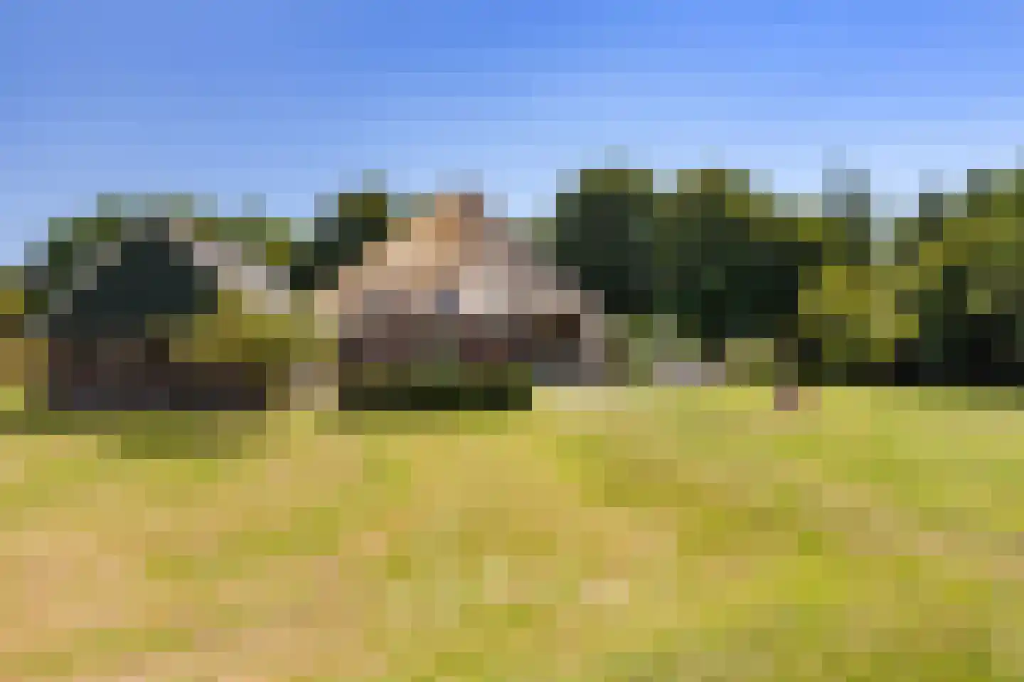 Dijkweg 7 Heerhugowaard thumbnail 21