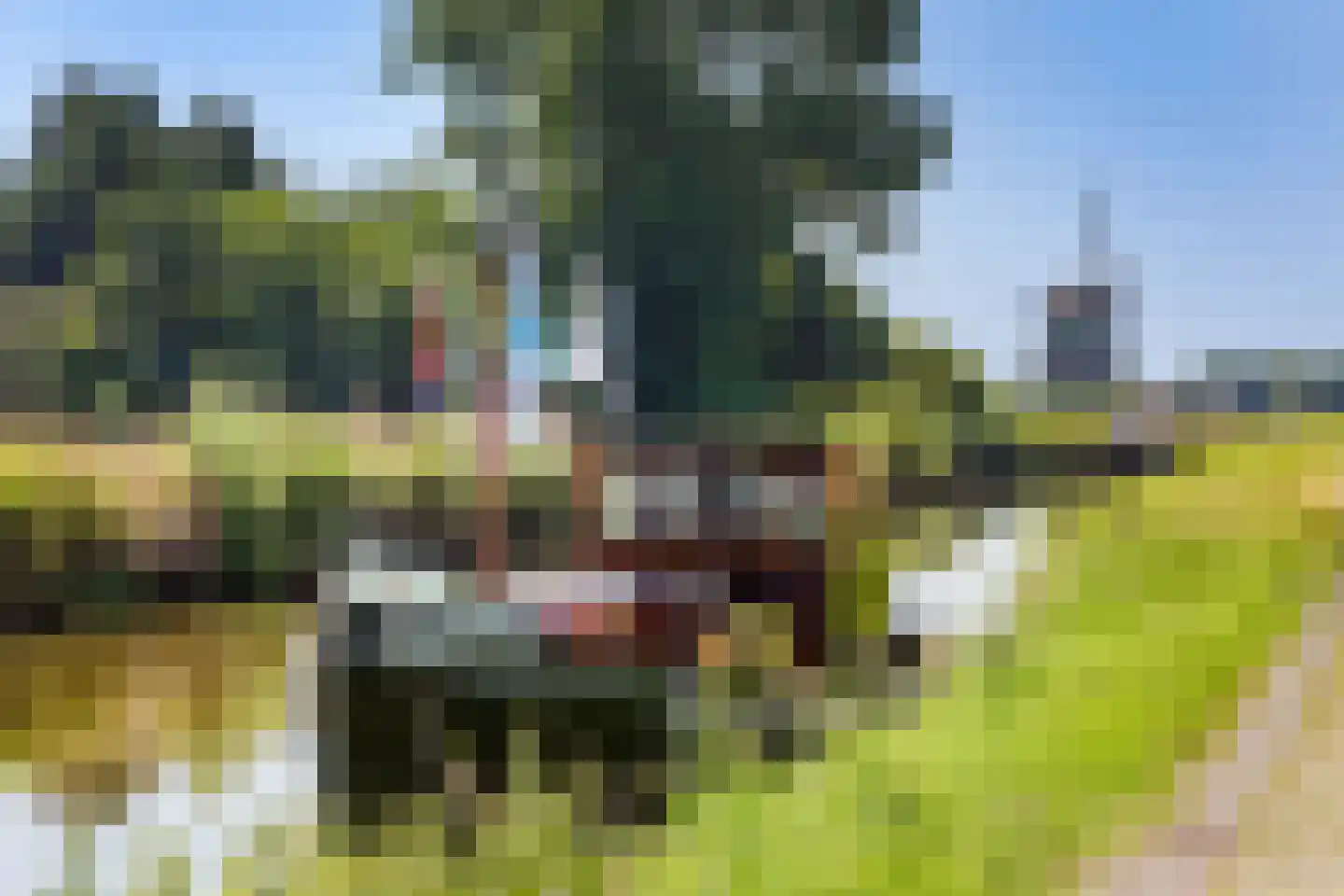 Dijkweg 7 Heerhugowaard thumbnail 39