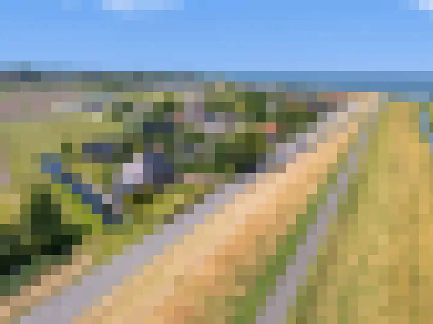 Dijkweg 73 Andijk thumbnail 70