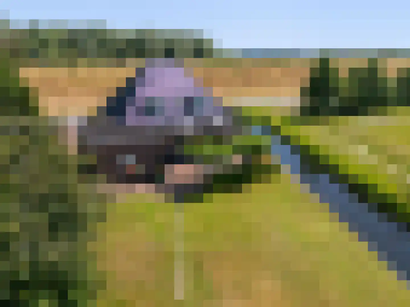 Dijkweg 73 Andijk thumbnail 71