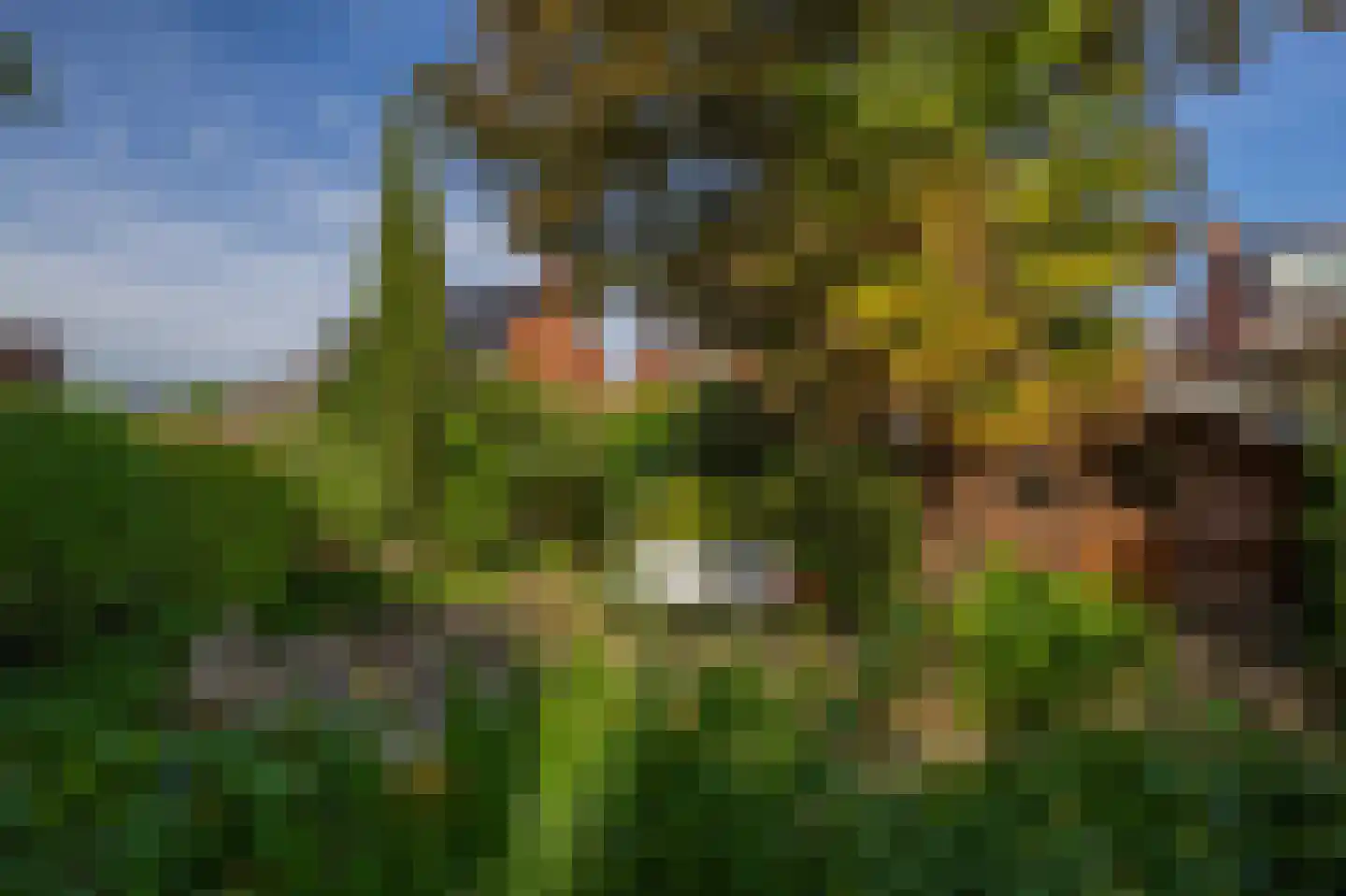 Dijkweg 77 B Naaldwijk thumbnail 31
