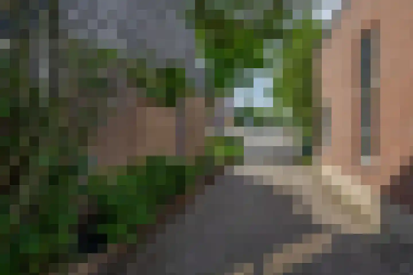 Dijkweg 77 B Naaldwijk thumbnail 34