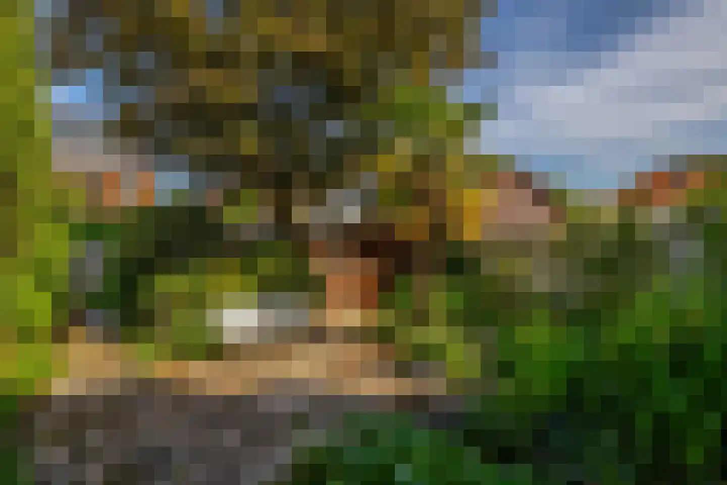 Dijkweg 77 B Naaldwijk thumbnail 4