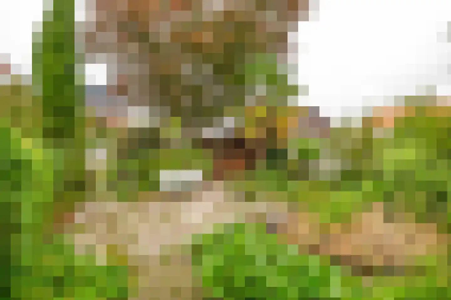 Dijkweg 77 B Naaldwijk thumbnail 40